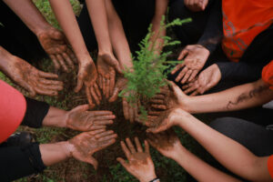 Go Green 2016